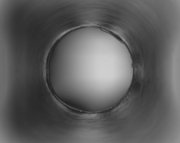 X0000089441143200706291420