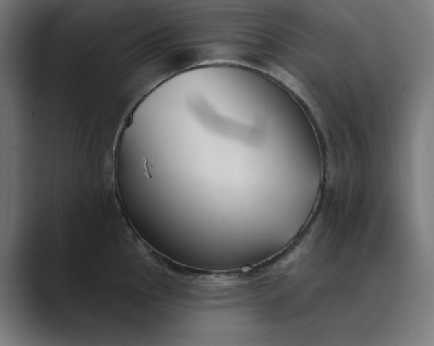 X0000089441145200706291420