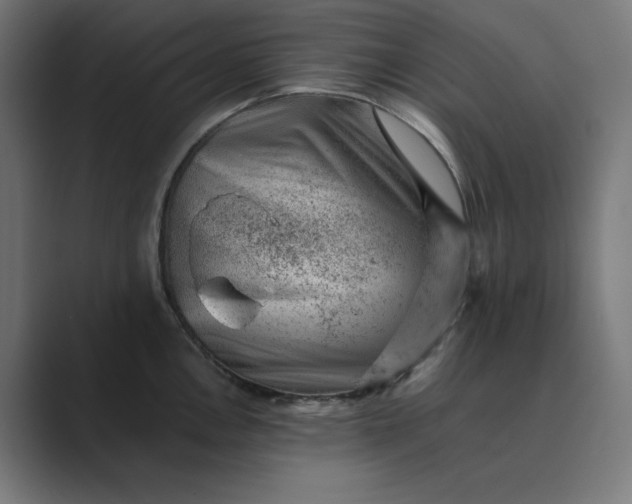 X0000089441146200706291420