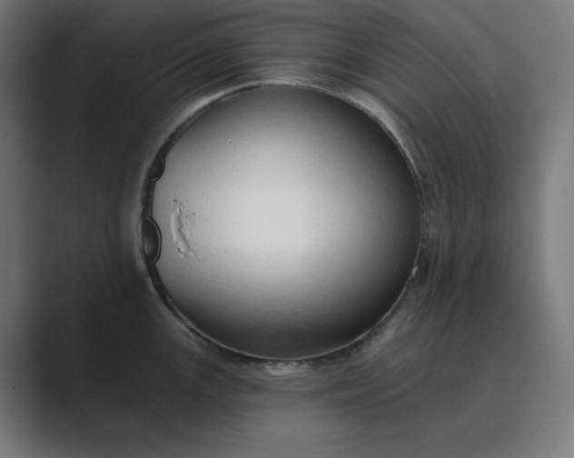 X0000089441147200706291420