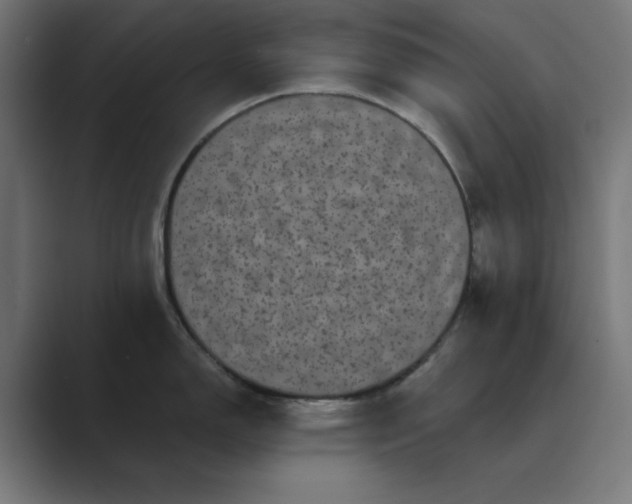 X0000089441150200706291420