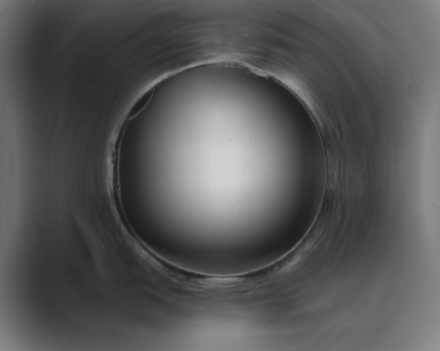 X0000089441151200706291420