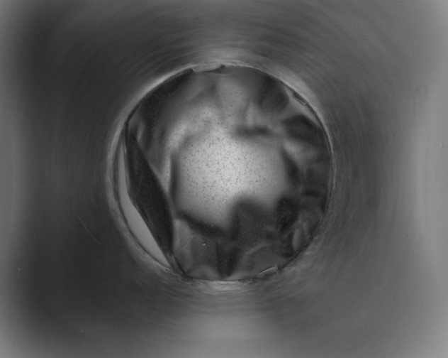 X0000089441152200706291420