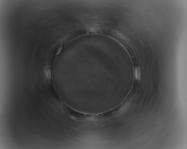 X0000089441155200706291420