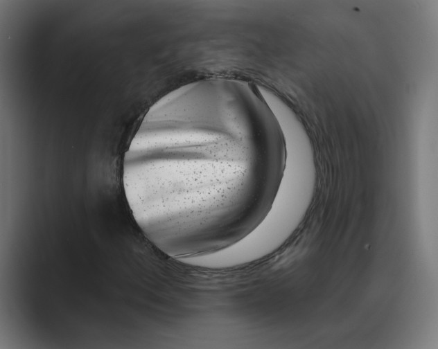 X0000089441156200706291420