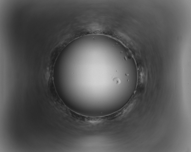 X0000089441157200706291420