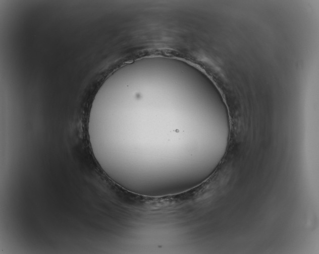 X0000089441159200706291420