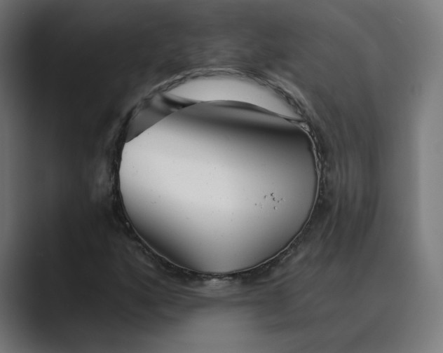 X0000089441160200706291420