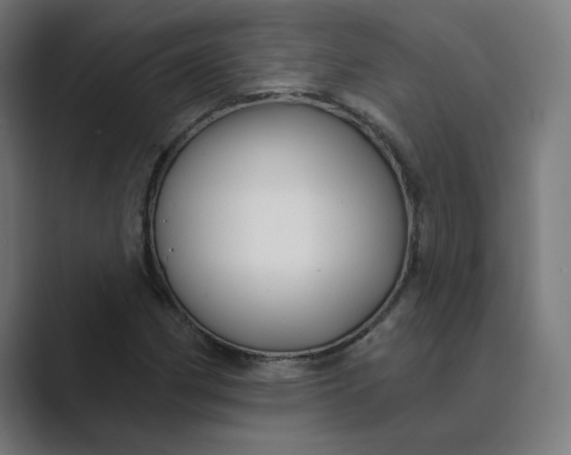 X0000089441162200706291420