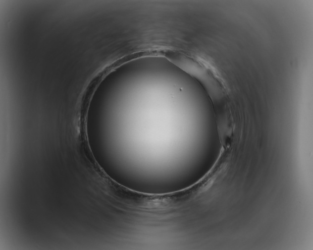 X0000089441165200706291420