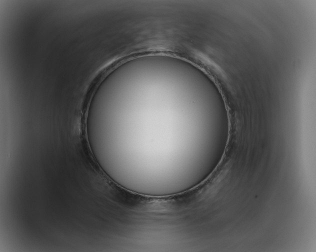 X0000089441166200706291420