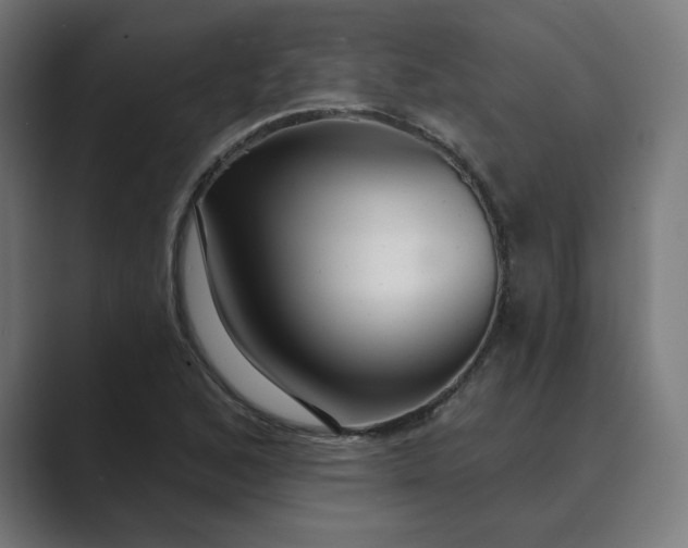 X0000089441168200706291420