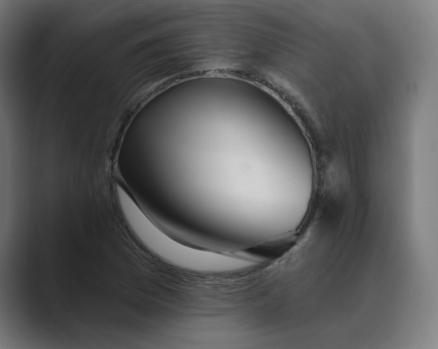 X0000089441169200706291420