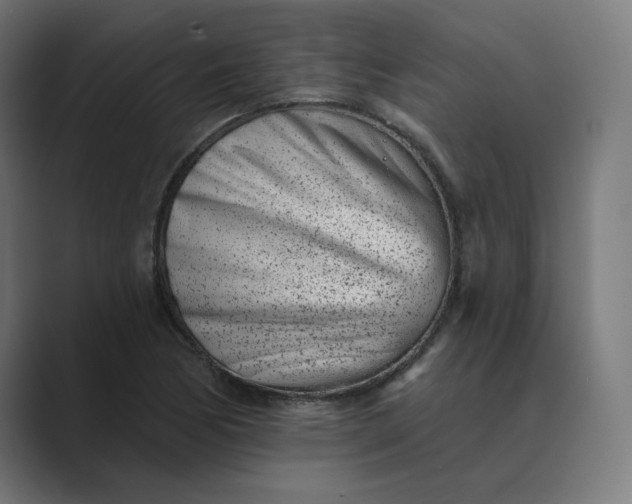 X0000089441170200706291420