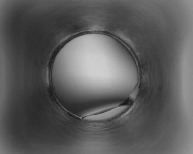 X0000089441171200706291420