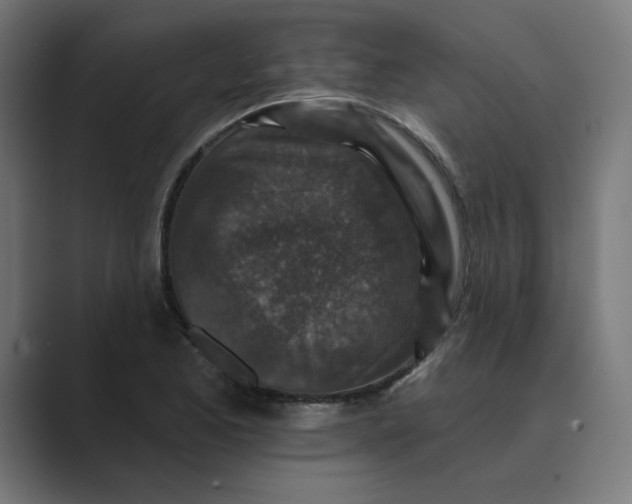 X0000089441173200706291420