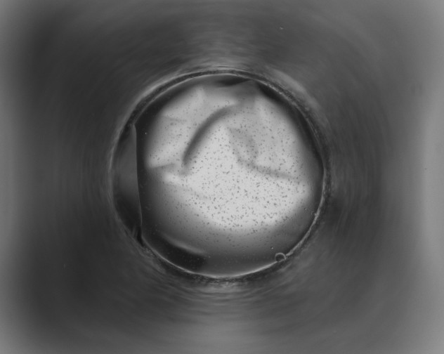 X0000089441174200706291420