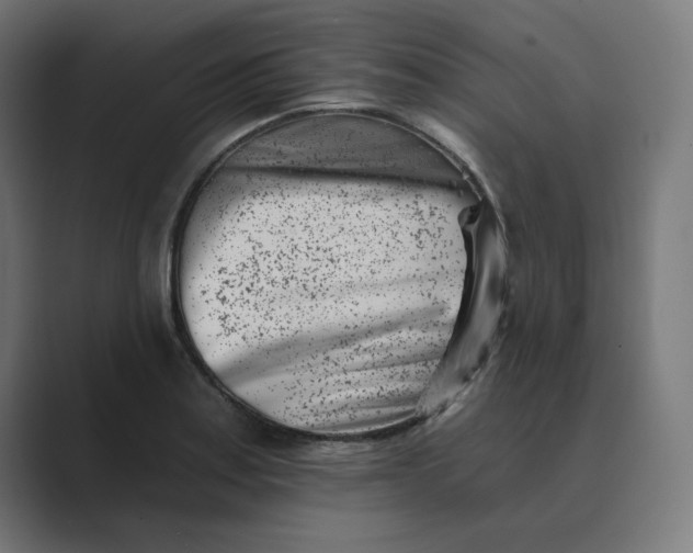 X0000089441179200706291420