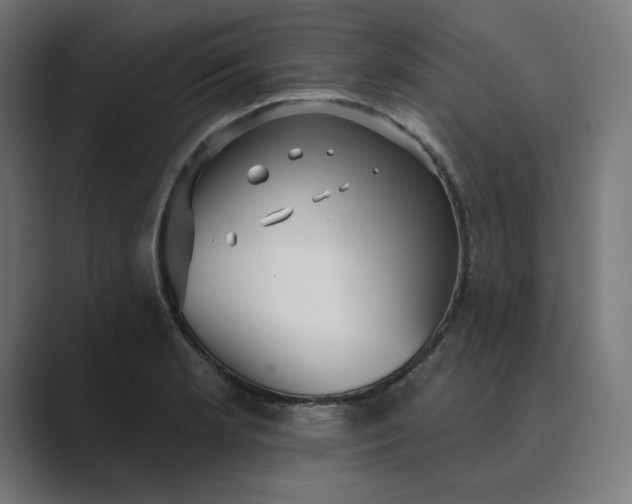 X0000089441181200706291420