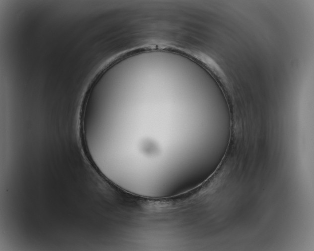 X0000089441183200706291419