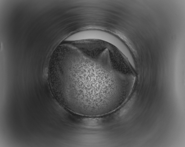 X0000089441185200706291419