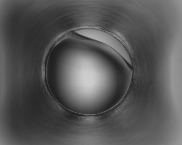 X0000089441188200706291419