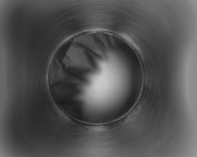 X0000089441189200706291419