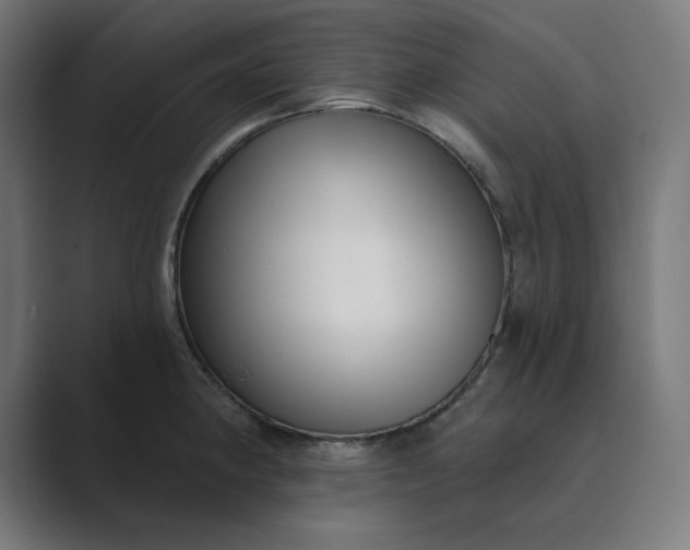 X0000089441190200706291419