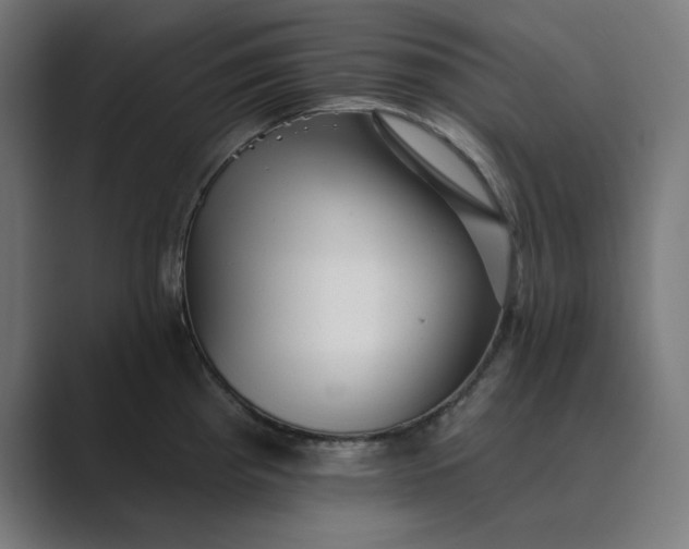 X0000089441193200706291419