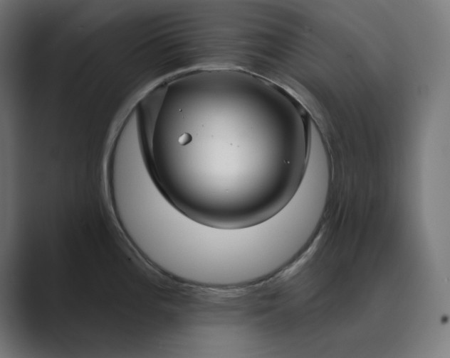 X0000089441196200706291419