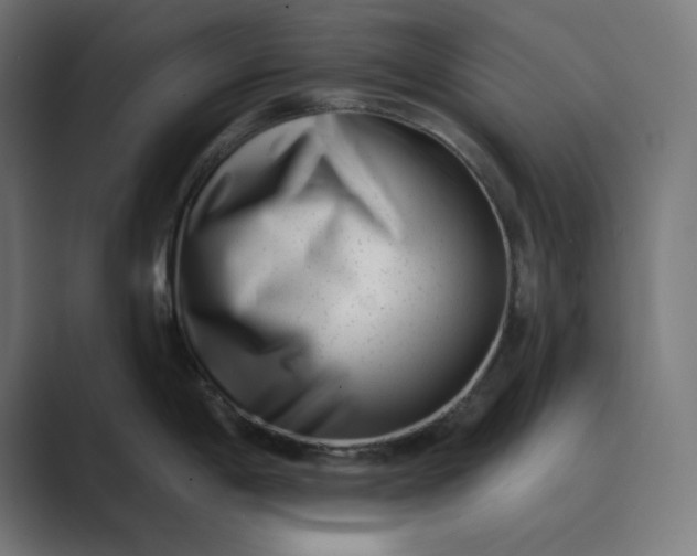 X0000089441198200706291419