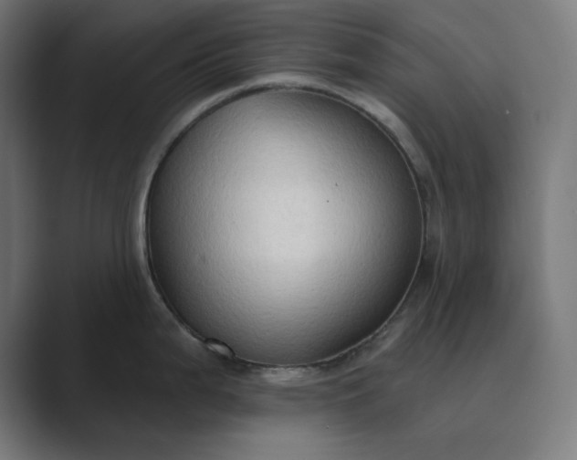 X0000089441199200706291419