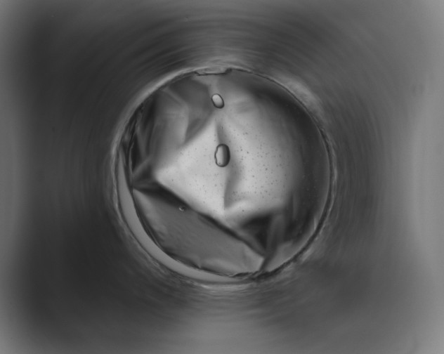 X0000089441200200706291419