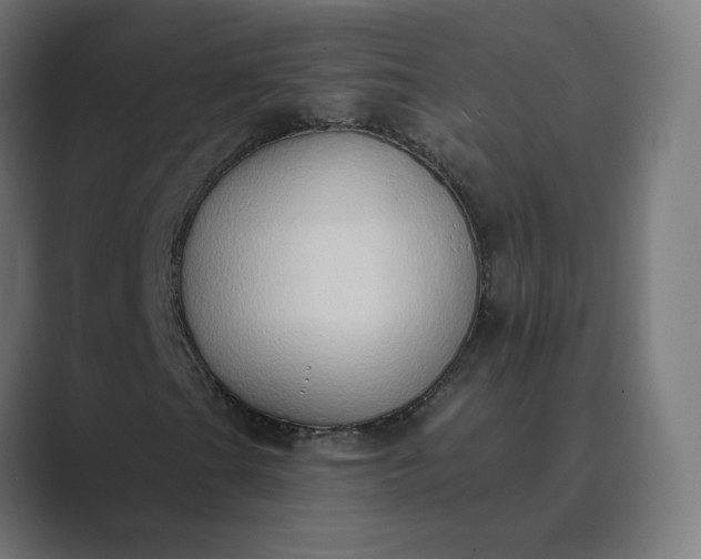 X0000089441201200706291419