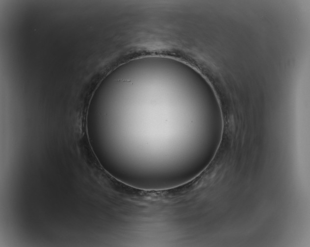 X0000089441205200706291419