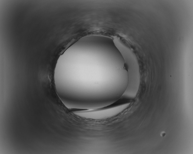 X0000089441206200706291419