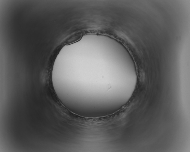 X0000089441208200706291419