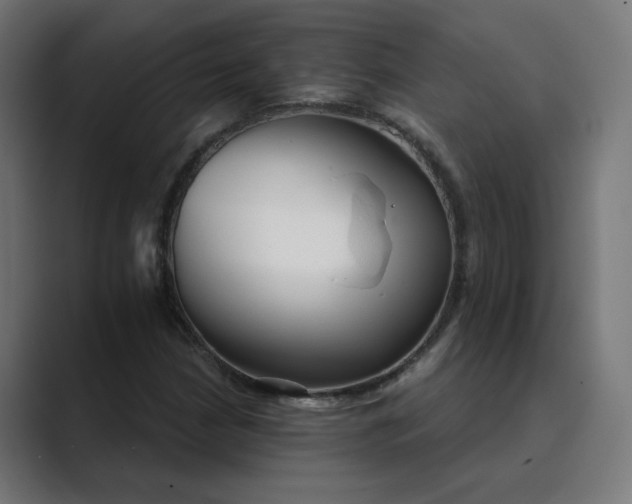 X0000089441210200706291419