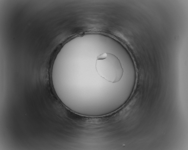 X0000089441211200706291419