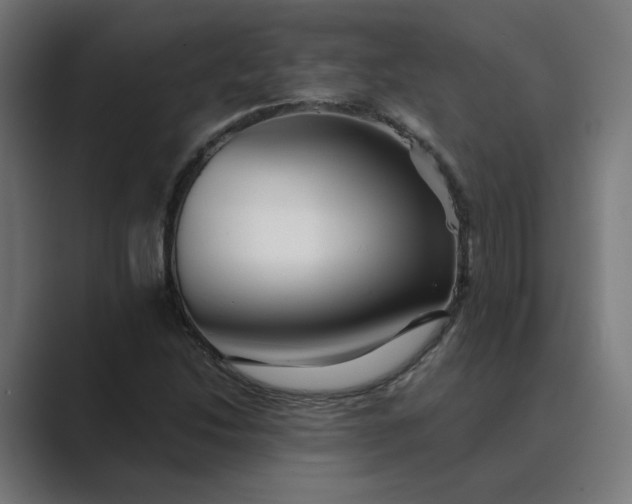 X0000089441214200706291419