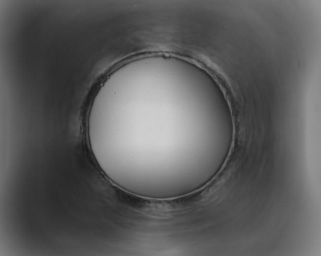 X0000089441215200706291419