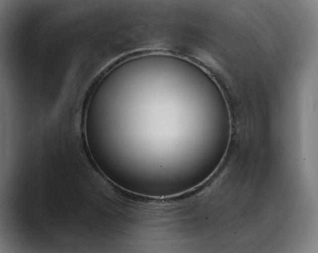 X0000089441216200706291419