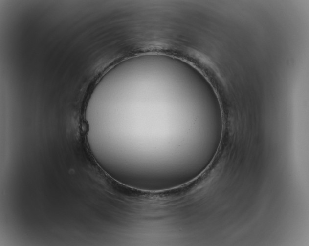 X0000089441217200706291419