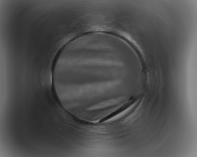 X0000089441221200706291419