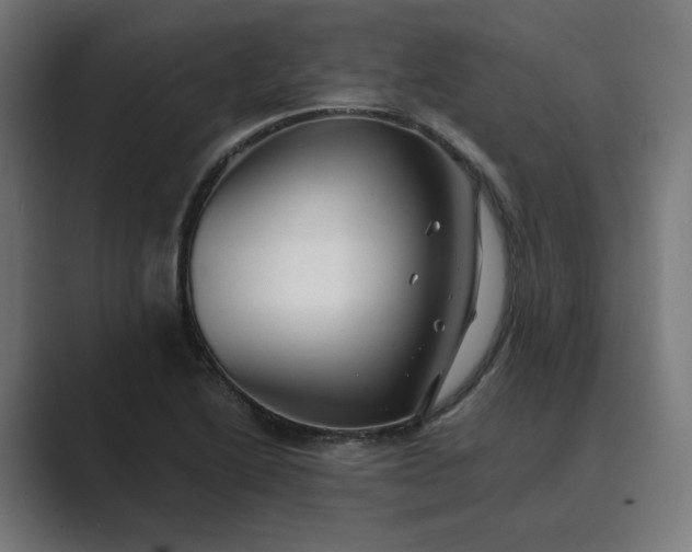 X0000089441222200706291419