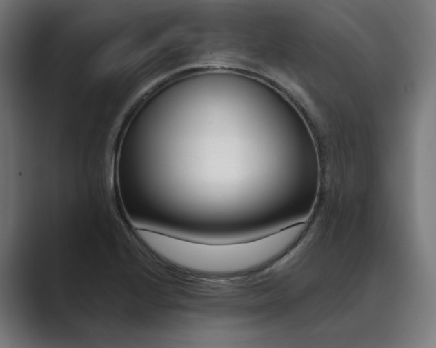 X0000089441224200706291419