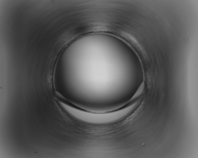 X0000089441225200706291419