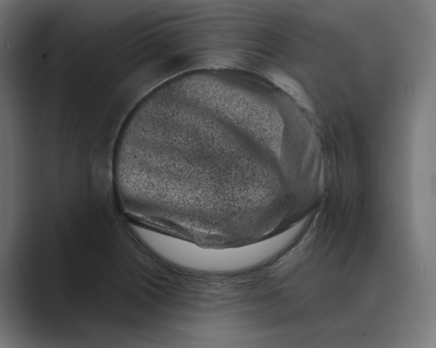 X0000089441226200706291419