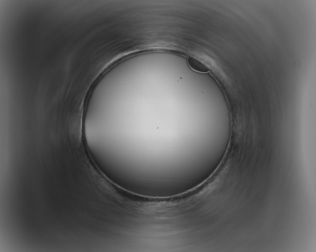 X0000089441228200706291419