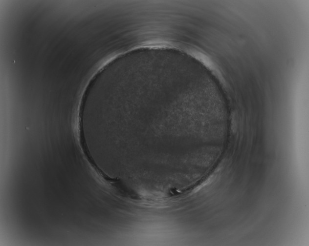 X0000089441229200706291419